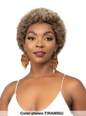 Janet Collection Premium Synthetic Natural Curly Wig - AFRO ABBO