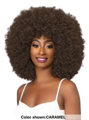 Janet Collection Premium Synthetic Natural Curly Wig - AFRO BADU