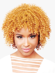 R&B Collection All Star Wivez Synthetic Full Wig - TWIST-STYLE