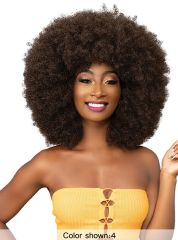 Femi Collection Ms Auntie Premium Synthetic Wig - AFRO ZORA WIG